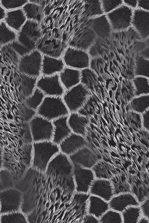 豹纹印花华亿平台图片