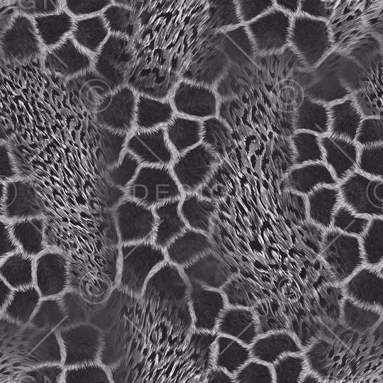 豹纹印花华亿平台图片