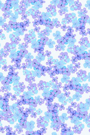 女装印花华亿平台图片