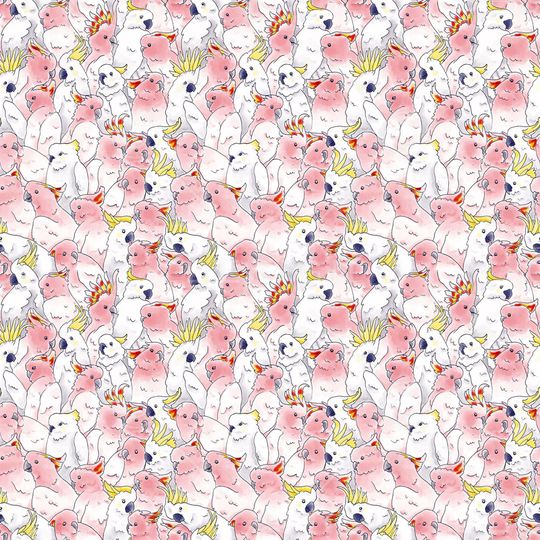 鹦鹉印花华亿平台图片