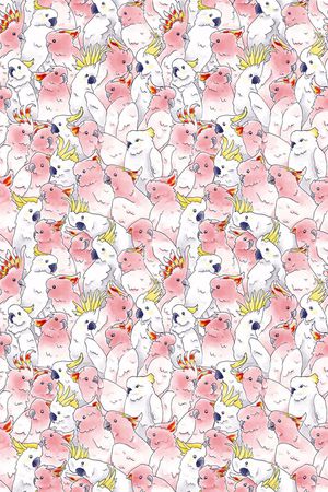 鹦鹉印花华亿平台图片