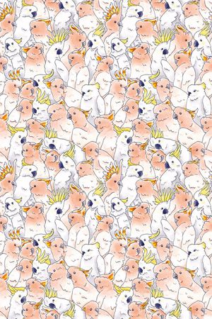 鹦鹉印花华亿平台图片