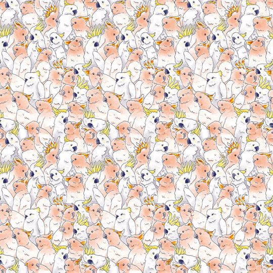 鹦鹉印花华亿平台图片