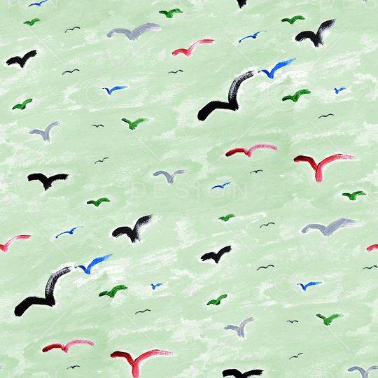 鹦鹉印花华亿平台图片