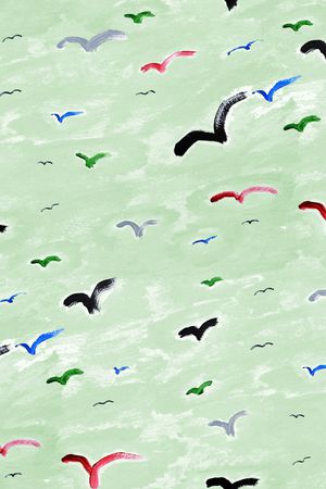 鹦鹉印花华亿平台图片