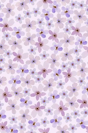 女装印花华亿平台图片