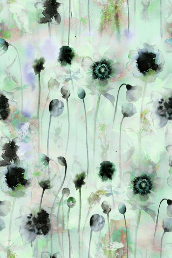 1485062-dear-20365-2