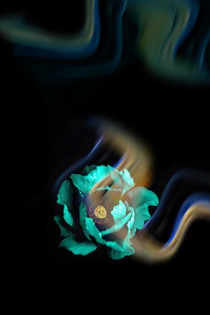 渐变印花华亿平台图片