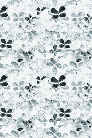 四叶草印花华亿平台图片