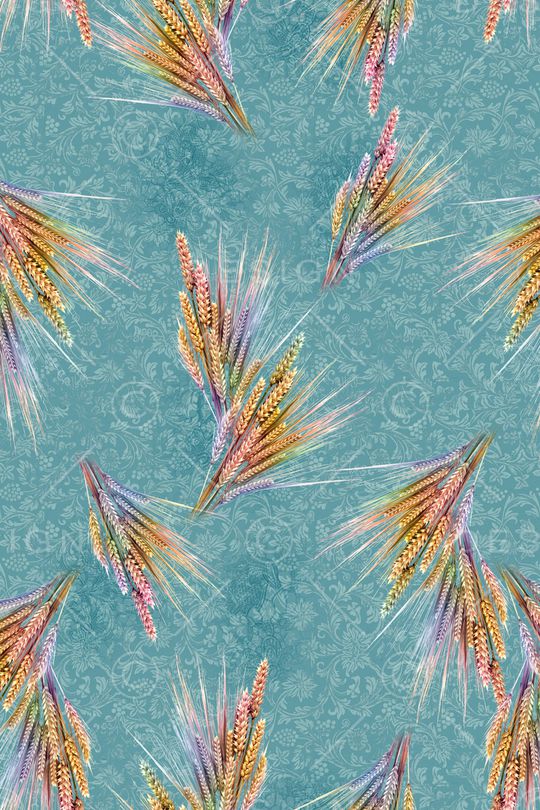 中老年秋冬装印花华亿平台图片