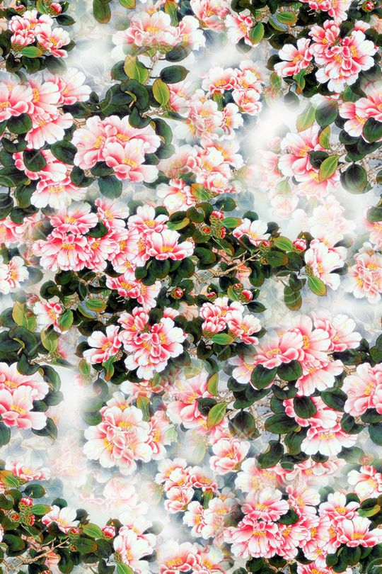 绿植树叶印花华亿平台图片