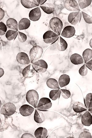 渐变印花华亿平台图片