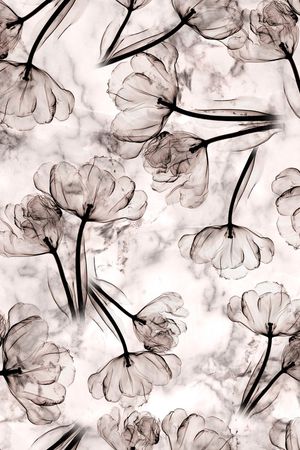 渐变印花华亿平台图片