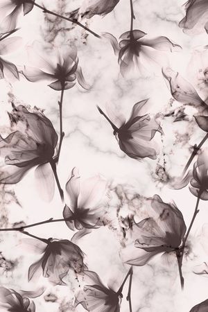 渐变印花华亿平台图片