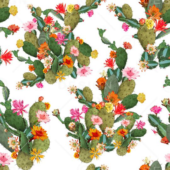 仙人掌印花华亿平台图片