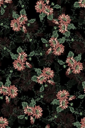 1486272-花卉20089-2