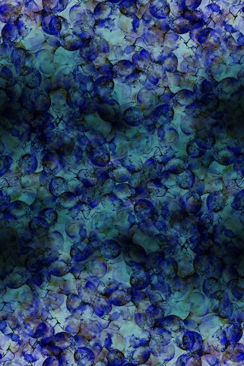 1486387-2022-3-25泡-02