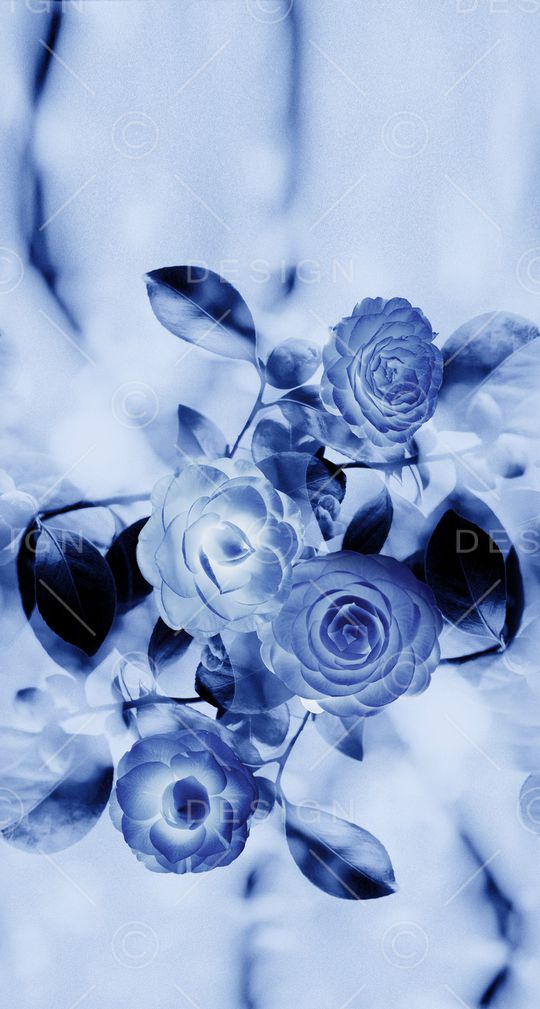 渐变印花华亿平台图片