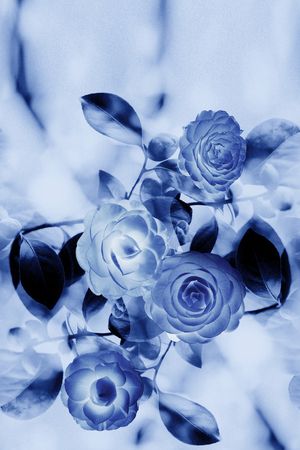 渐变印花华亿平台图片