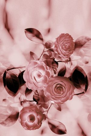 渐变印花华亿平台图片