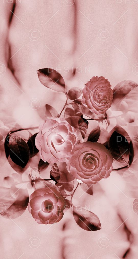 渐变印花华亿平台图片