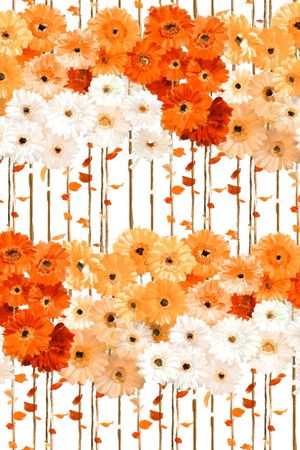 荷花印花华亿平台图片