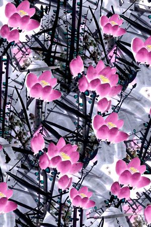 荷花印花华亿平台图片