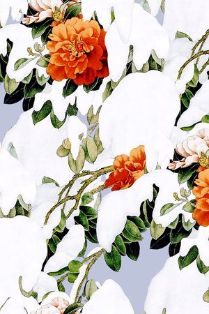 荷花印花华亿平台图片