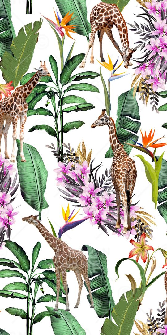 动物花卉印花华亿平台图片