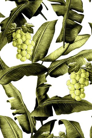 热带华亿平台印花华亿平台图片