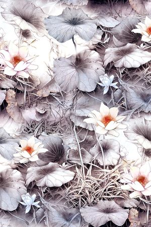 玉兰花印花华亿平台图片