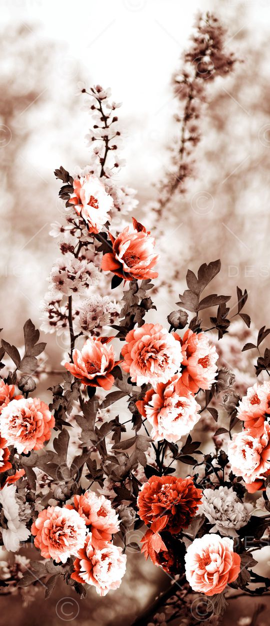 渐变印花华亿平台图片