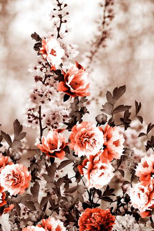 渐变印花华亿平台图片