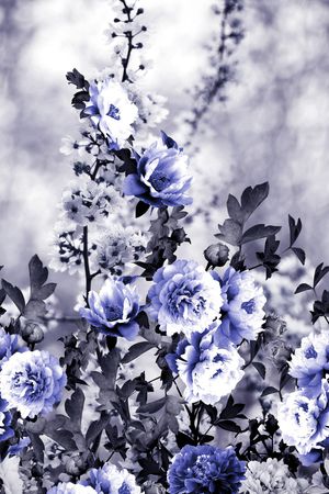 渐变印花华亿平台图片