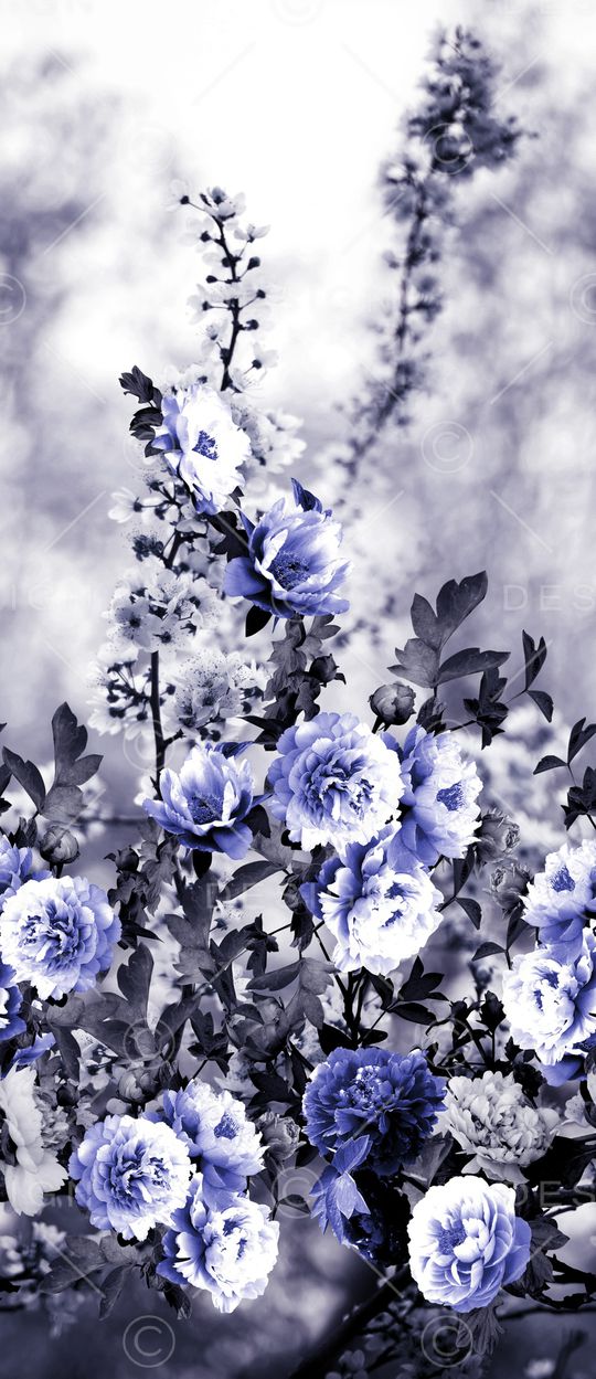 渐变印花华亿平台图片