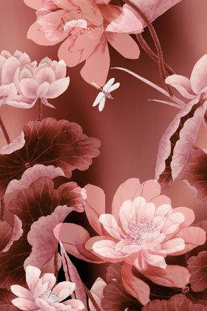 荷花印花华亿平台图片