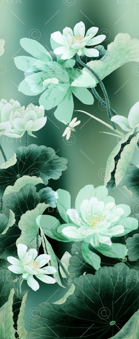 荷花印花华亿平台图片