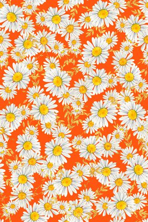 女装印花华亿平台图片