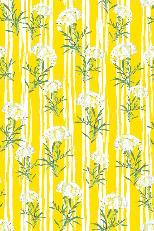 女装印花华亿平台图片