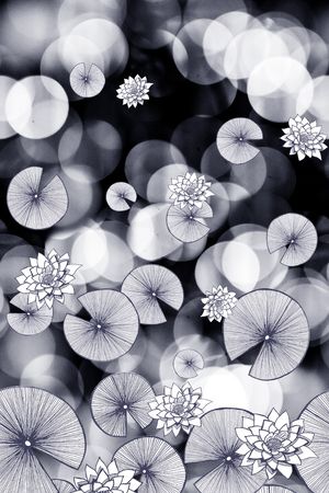 荷花印花华亿平台图片