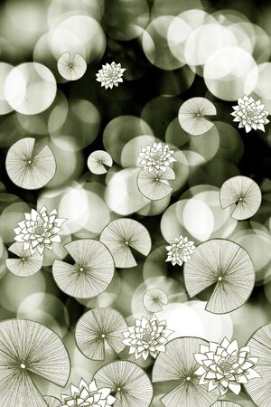 荷花印花华亿平台图片