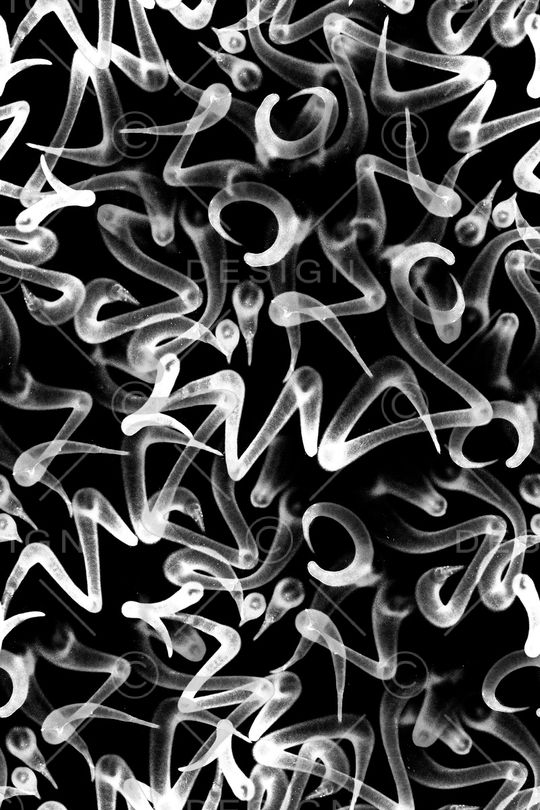 时尚印花华亿平台图片