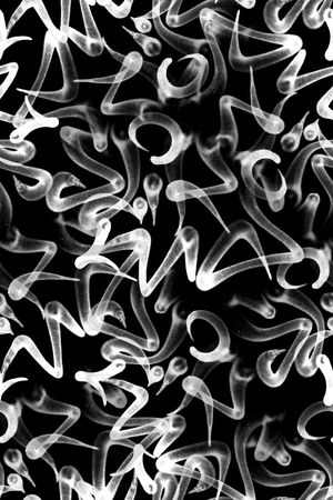 时尚印花华亿平台图片