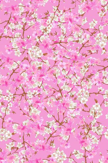 1487449-花卉20090-3