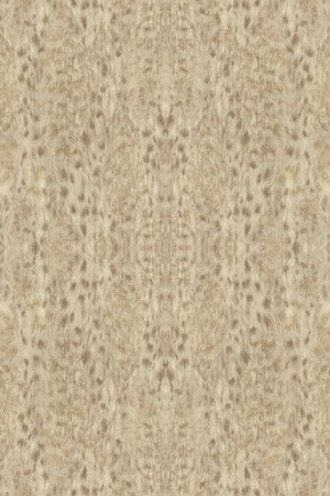 豹纹印花华亿平台图片