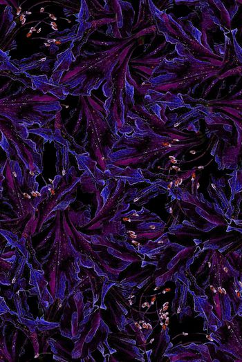 1487546-2022-3-24百合-1