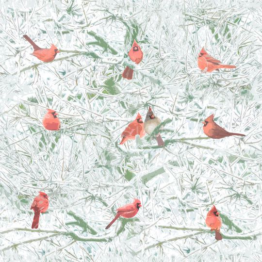 鸟印花华亿平台图片