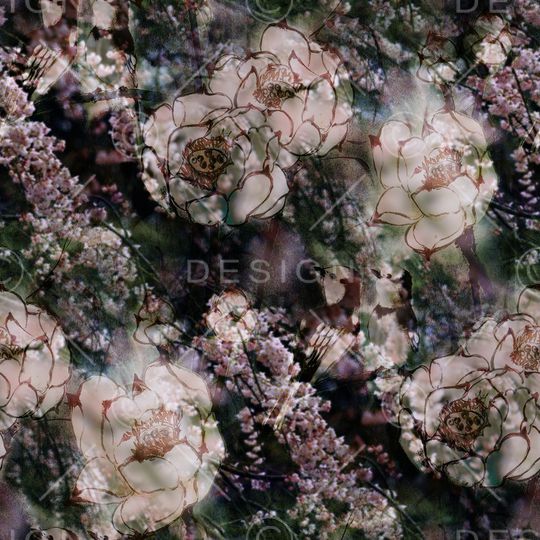 荷花印花华亿平台图片