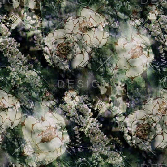 荷花印花华亿平台图片