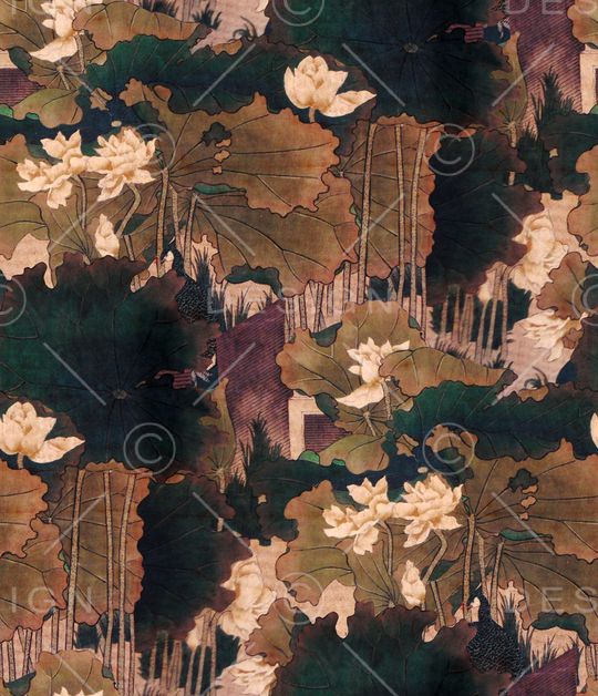 荷花印花华亿平台图片